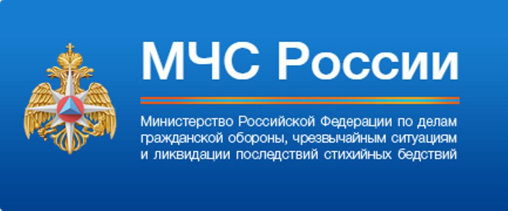 Министерство Российской Федерации по делам гражданской обороны, чрезвычайным ситуациям и ликвидации последствий стихийных бедствий